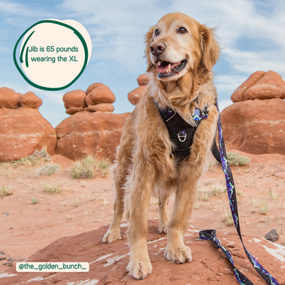 Adjustable Dog Harness with Handle