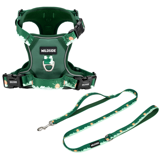 Tahoma Peak Harness & Leash Combo
