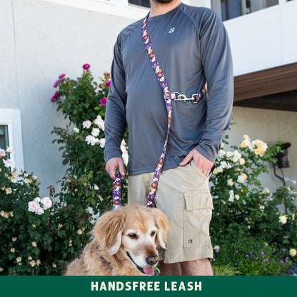 Yeti in the Alps Leash (Blue)