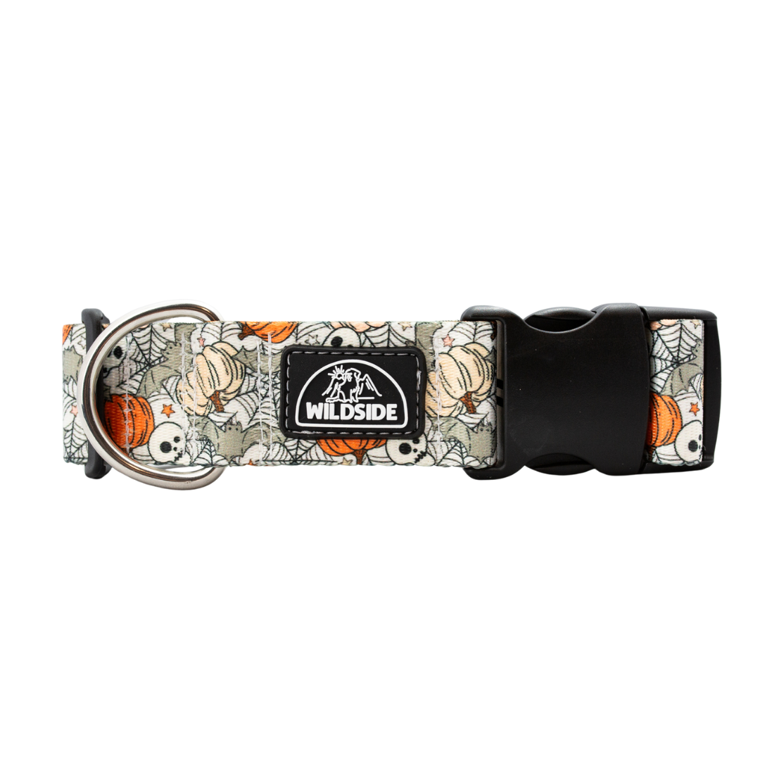 Creepin’ It Real dog collar with pumpkins, bats, and spiderwebs
