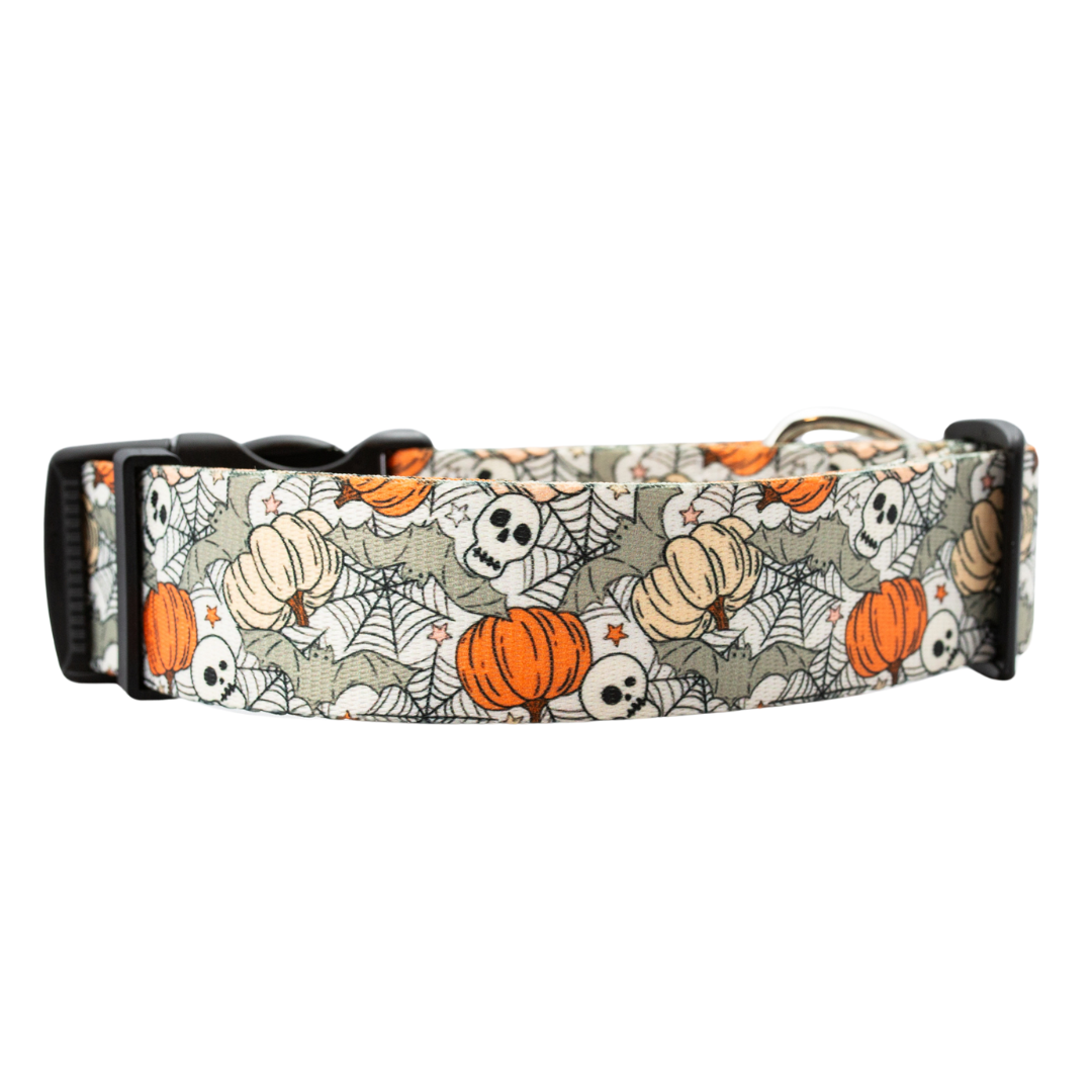 Creepin’ It Real dog collar with pumpkins, bats, and spiderwebs