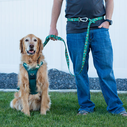 Person holding a dog leash with a dog sitting on grass