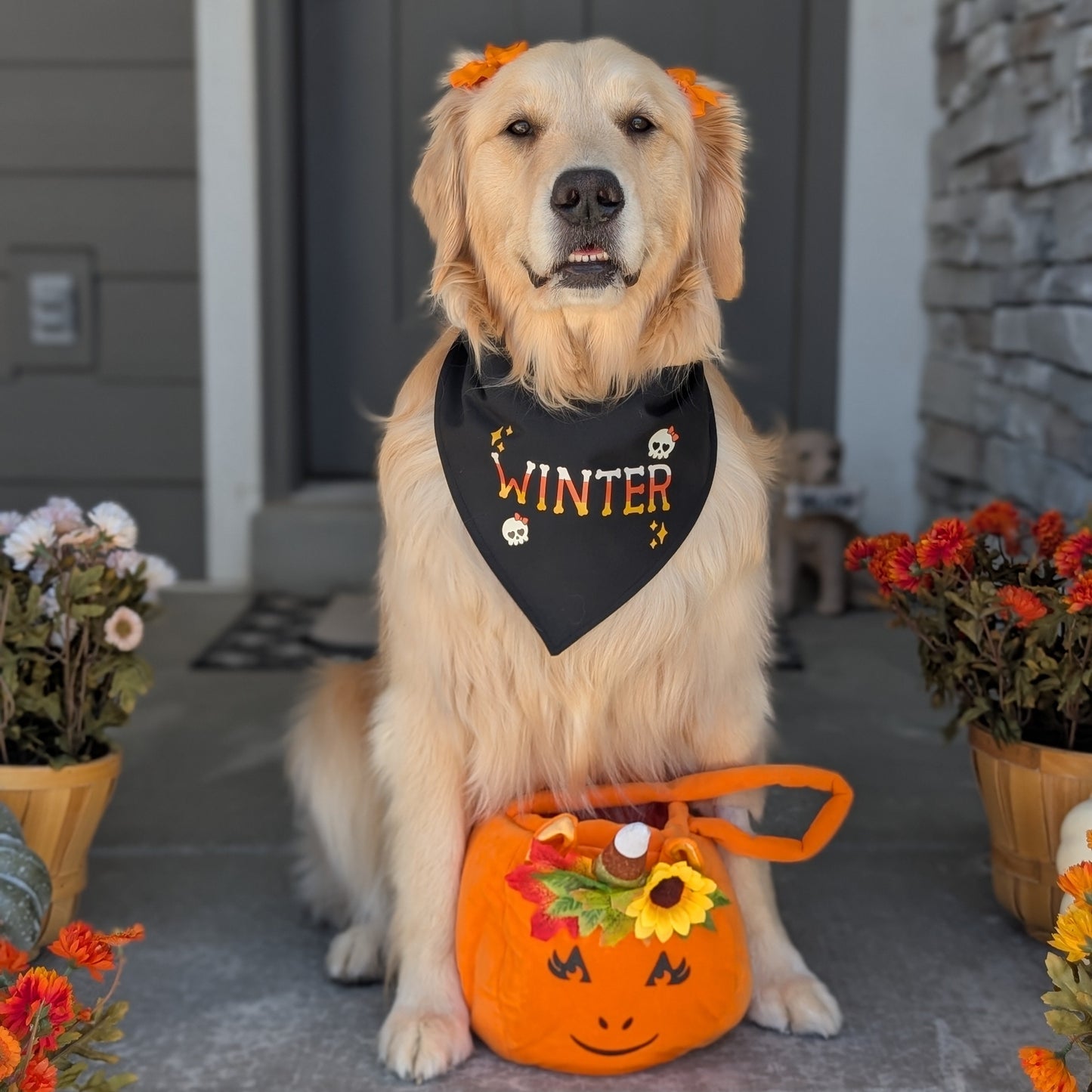Candy Corn Bones Dog Bandana with Custom Name