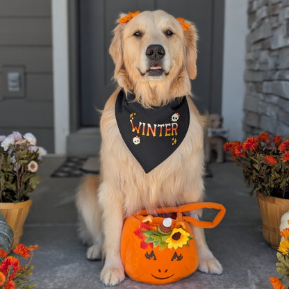 Candy Corn Bones Dog Bandana with Custom Name