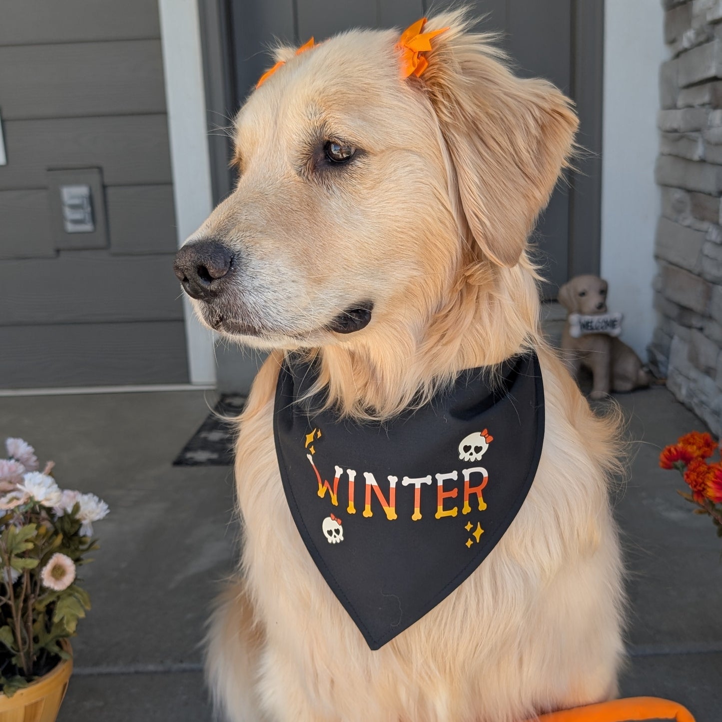 Candy Corn Bones Dog Bandana with Custom Name