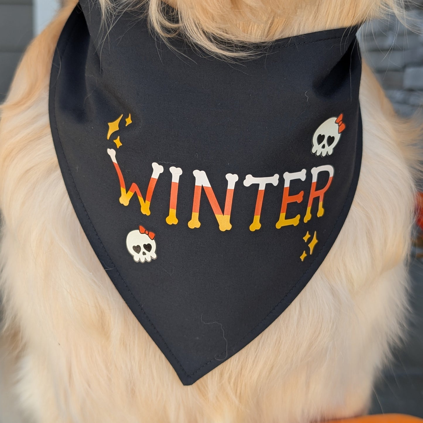 Candy Corn Bones Dog Bandana with Custom Name