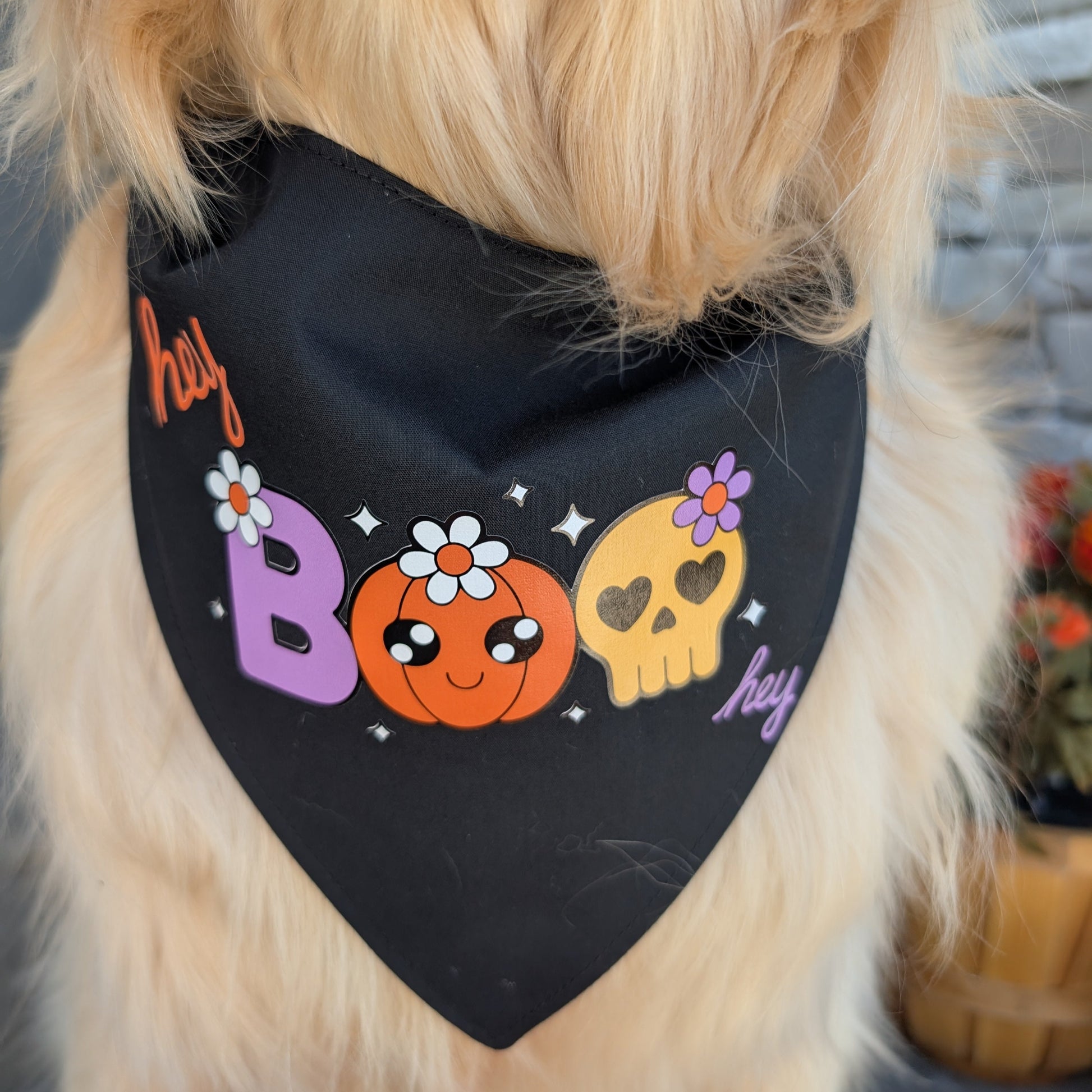 Dog wearing a Halloween-themed bandana with pumpkins and text.