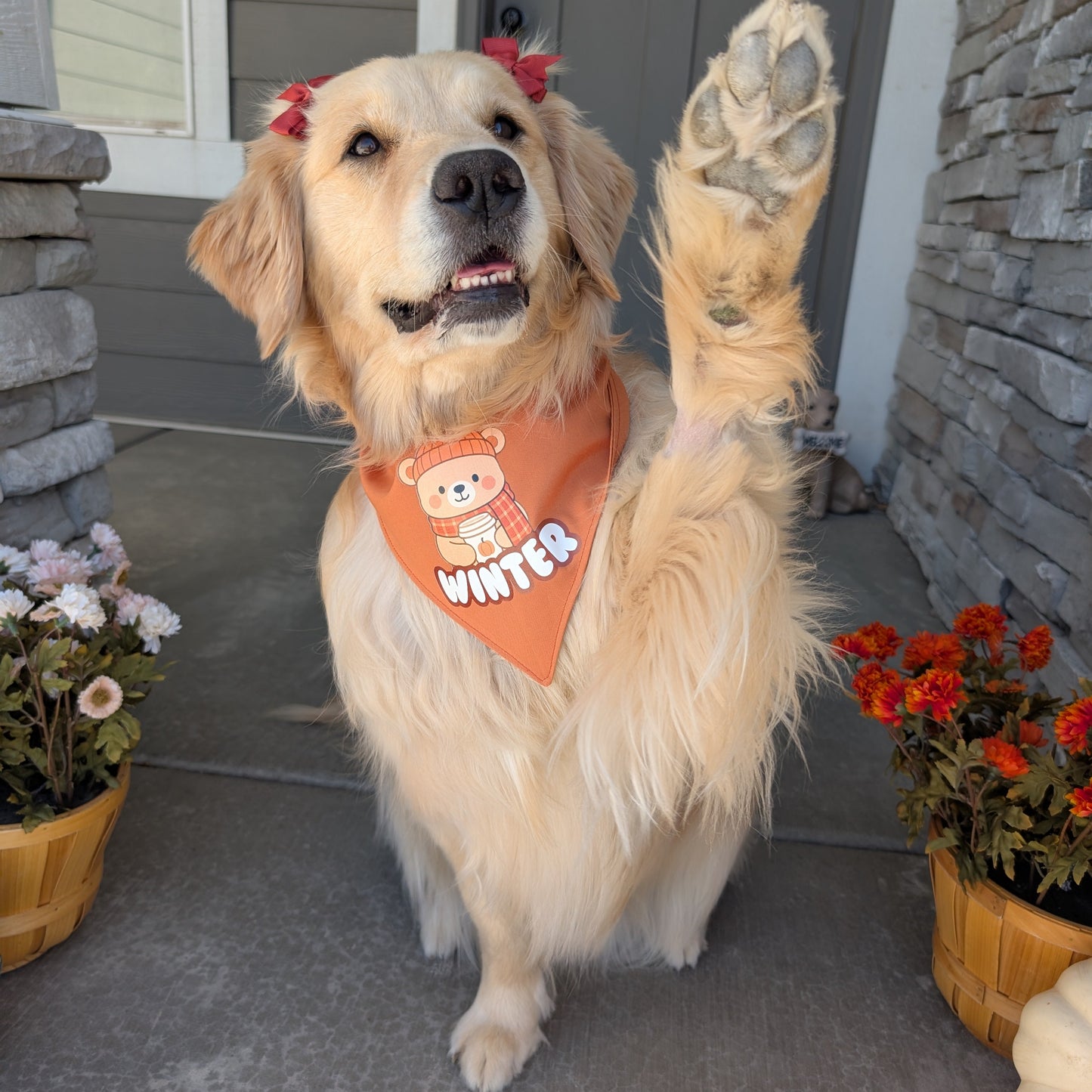 PSL Cozy Fall Bear Dog Bandana with Custom Name