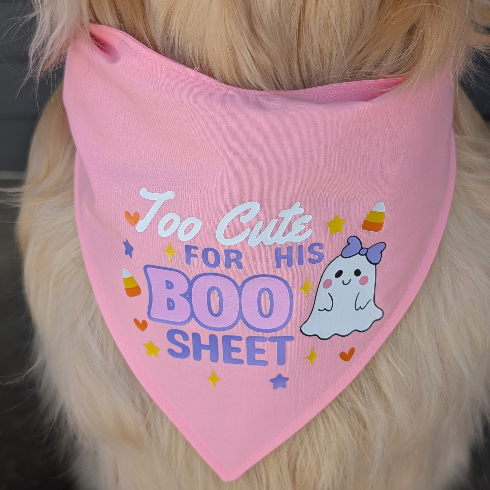 Dog wearing a pink bandana with text and a ghost graphic