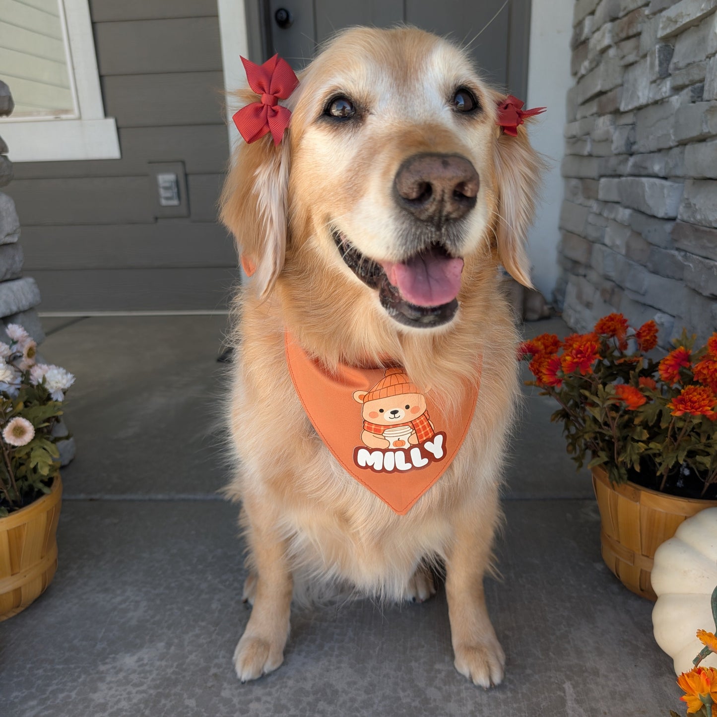 PSL Cozy Fall Bear Dog Bandana with Custom Name