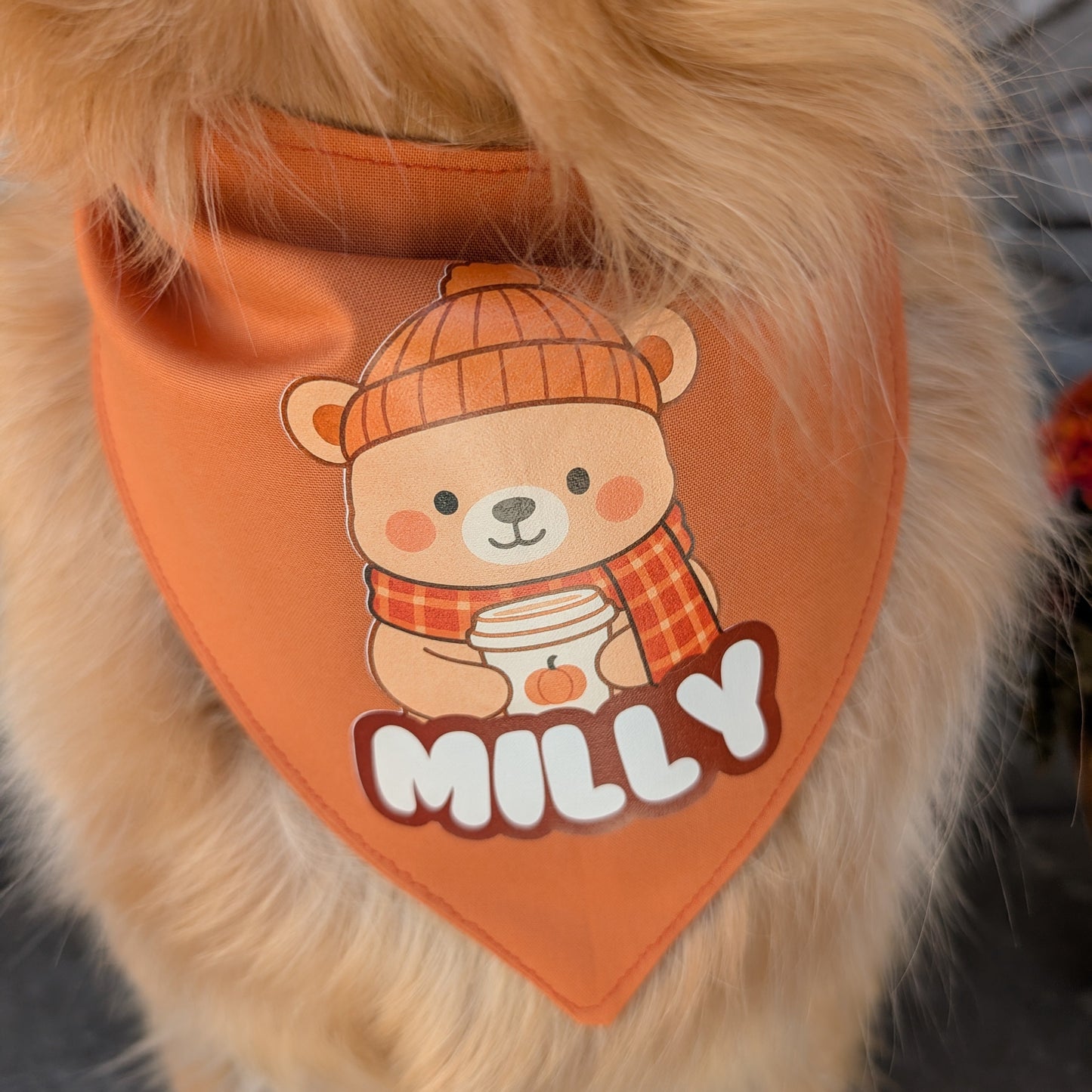PSL Cozy Fall Bear Dog Bandana with Custom Name
