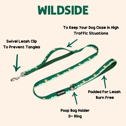 Tahoma Peak Harness & Leash Combo