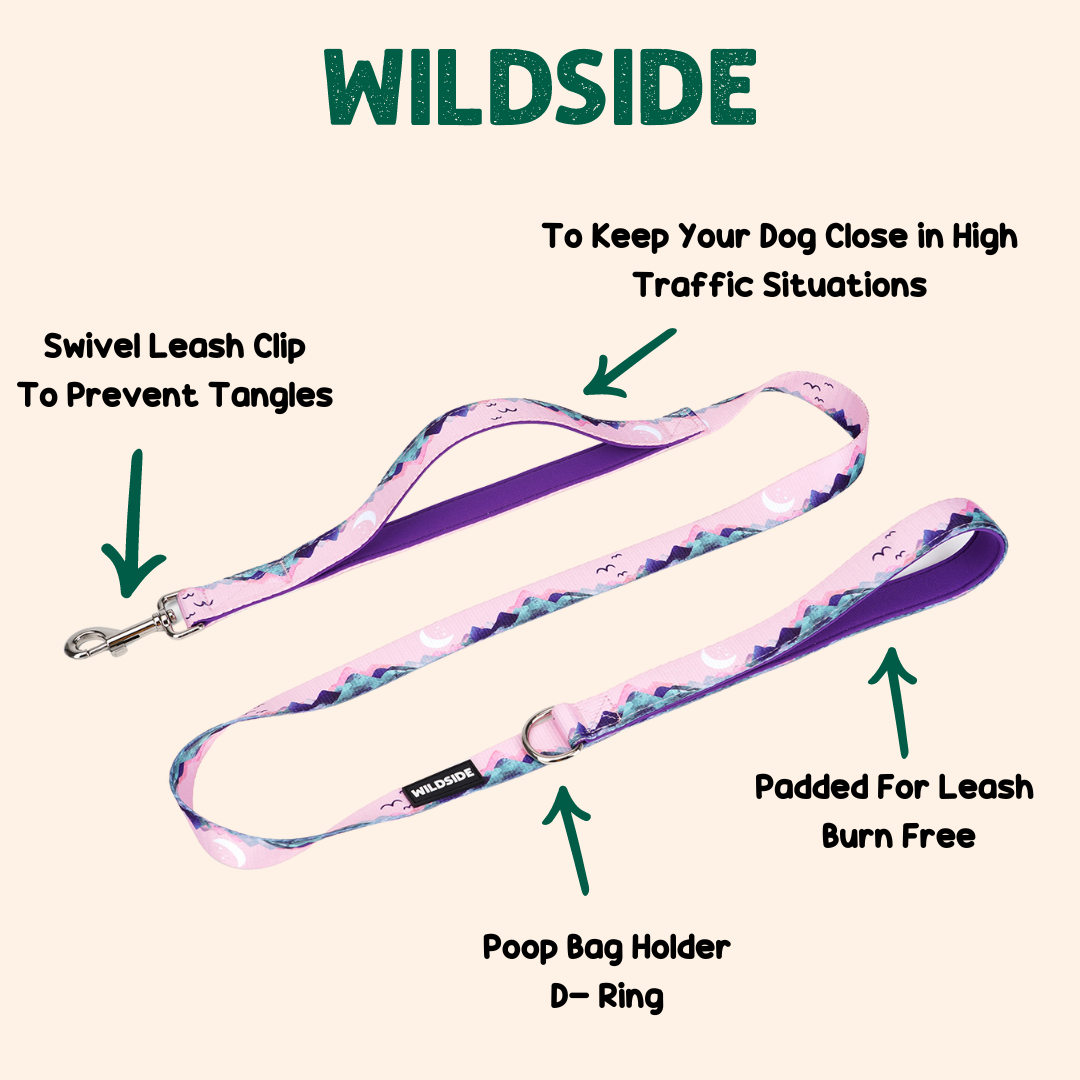 Mt. Milly Double Handle Dog Leash