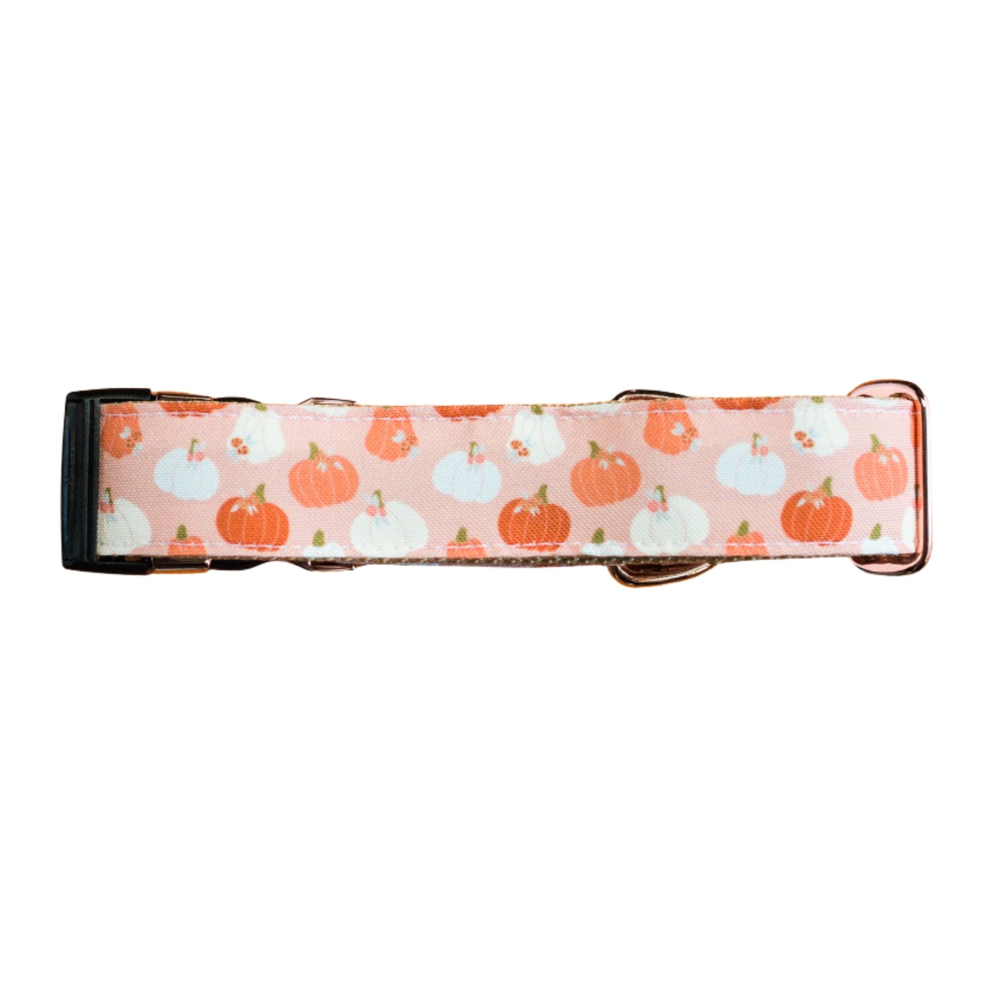 Dog collar with pumpkin pattern on a white background