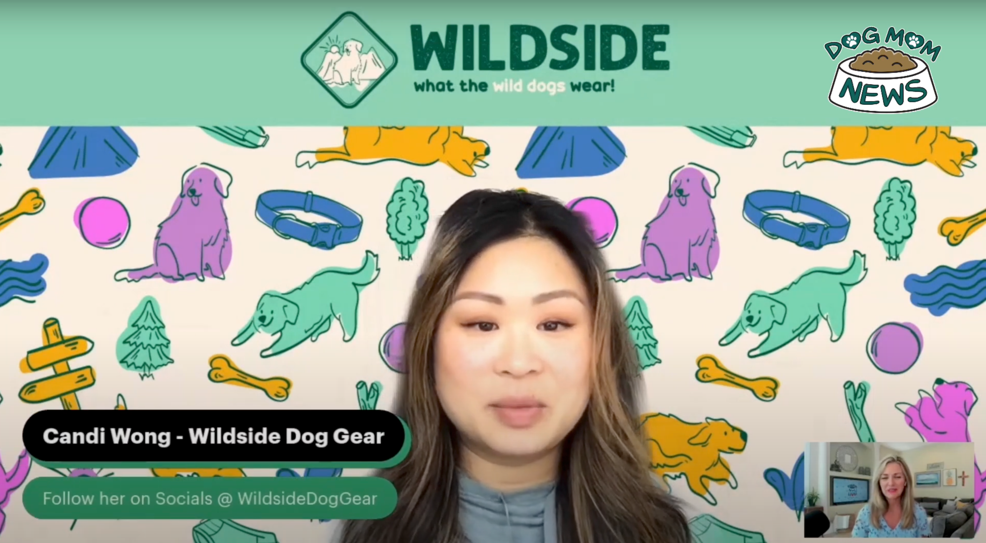Load video: dog collar or dog harness for my dog