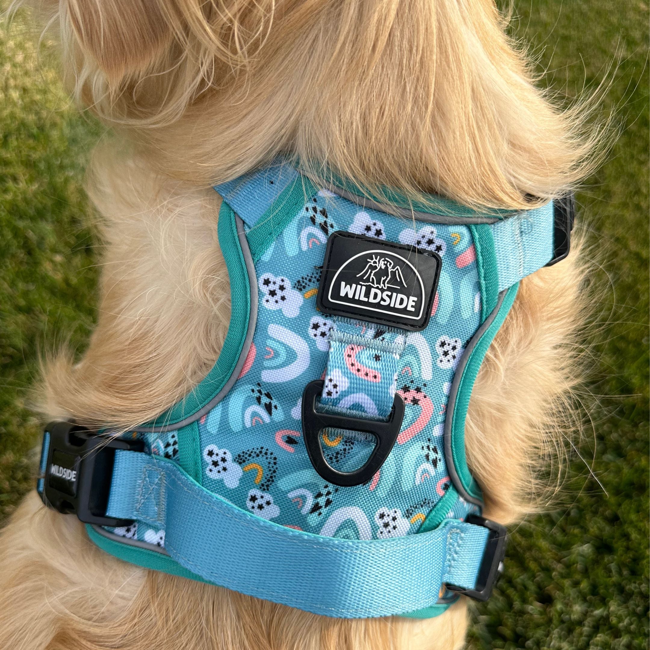 Click N Go Dog Harness Secure No Slip Comfortable Walks