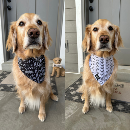 Luna Adventure Dog Bandana ( reversible bandana)