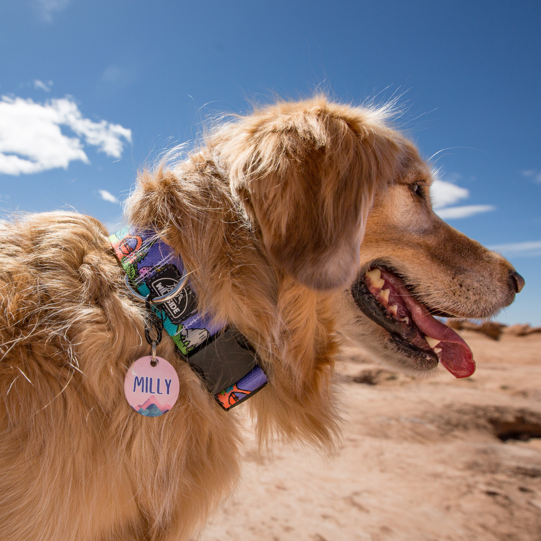 National Parks Collars Collection