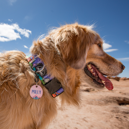 National Parks Collars Collection