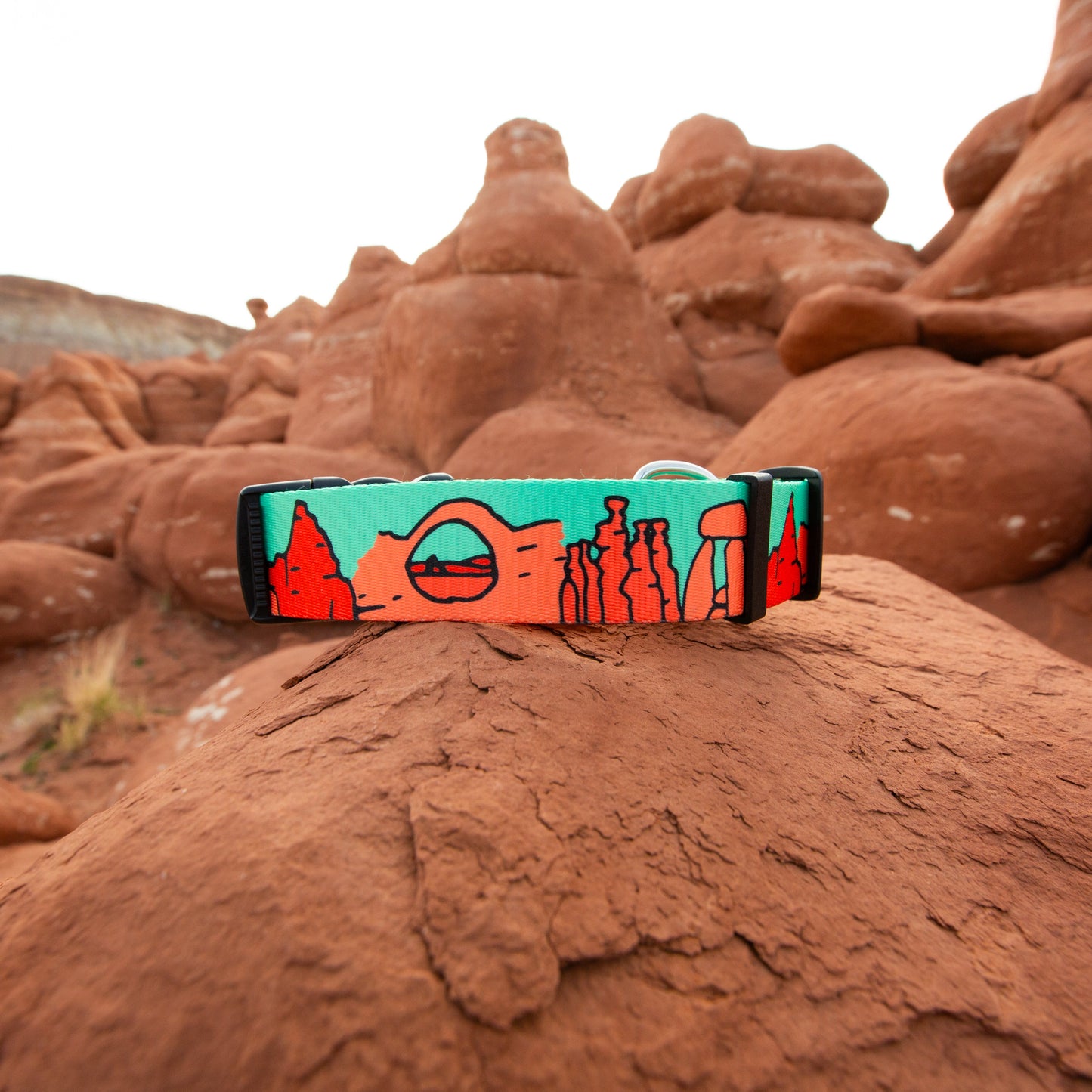 We Love Utah Mint Adventure Set ( hands-free leash + collar)