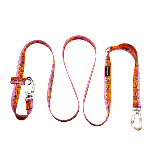 Dog harness and leash set with pink and orange pattern on a white background
