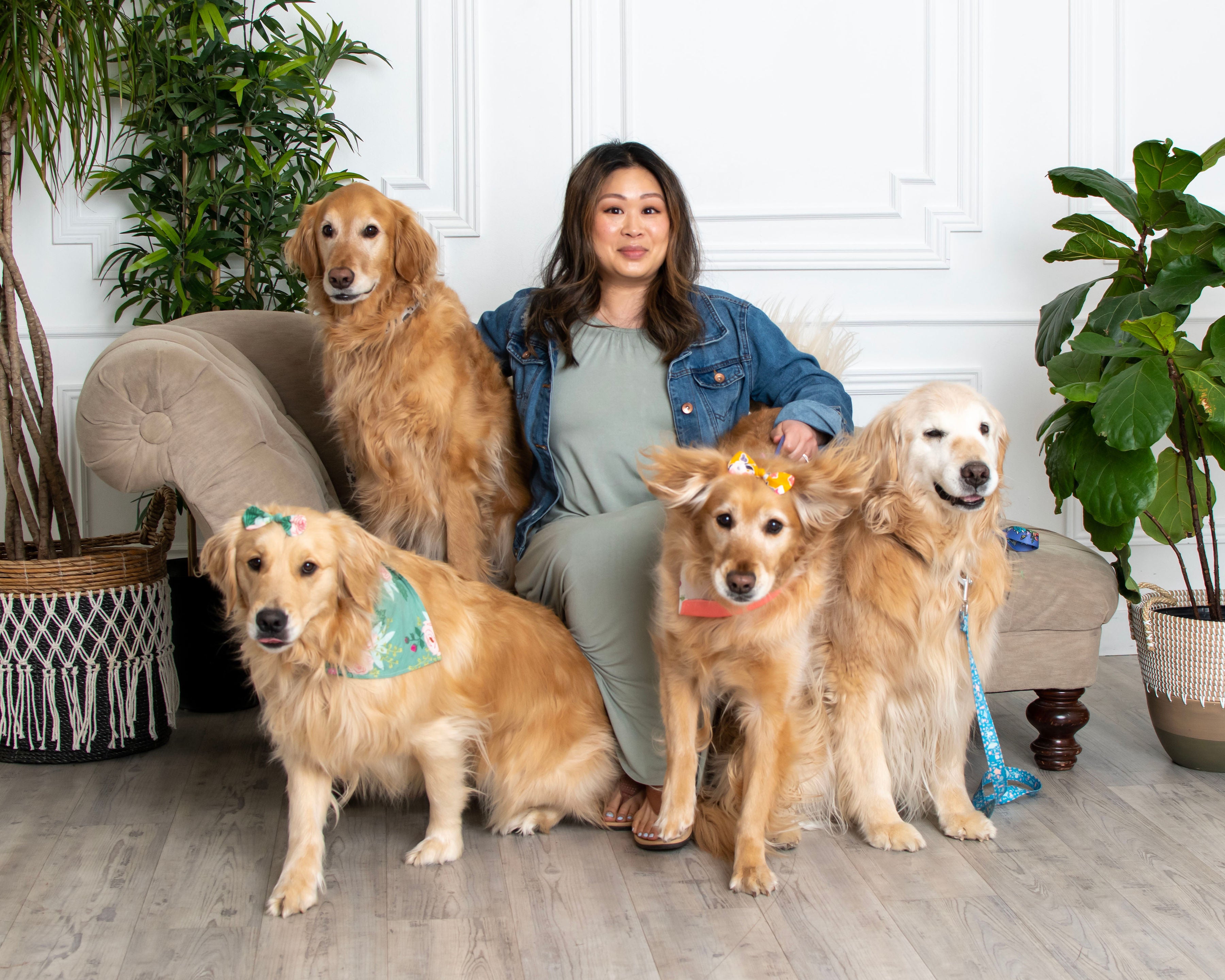 dog mom with 4 goldens 