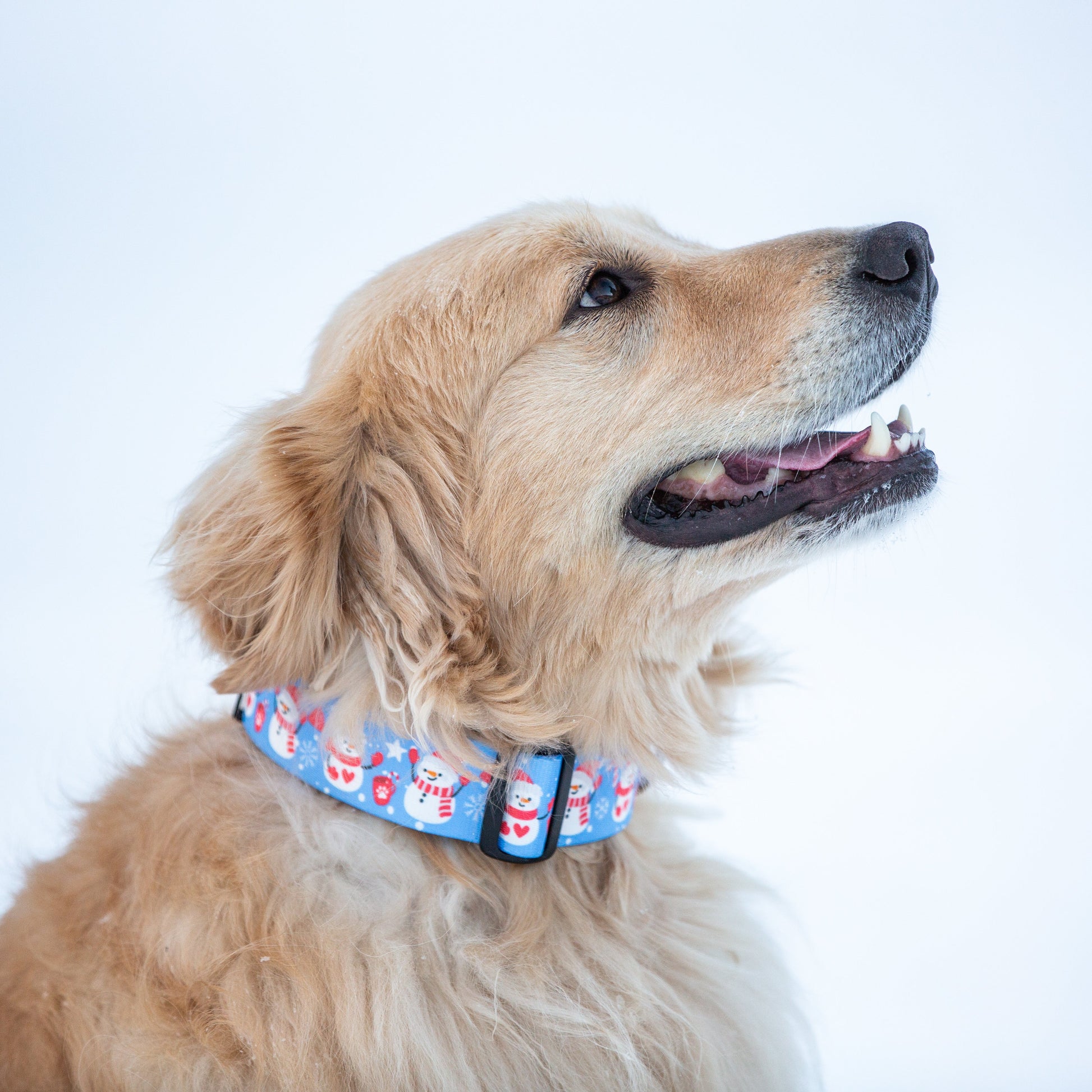 dog collars for big dogs, strong dog collars, durable dog collars, winter dog collars, christmas dog collars, cute snowman dog collar