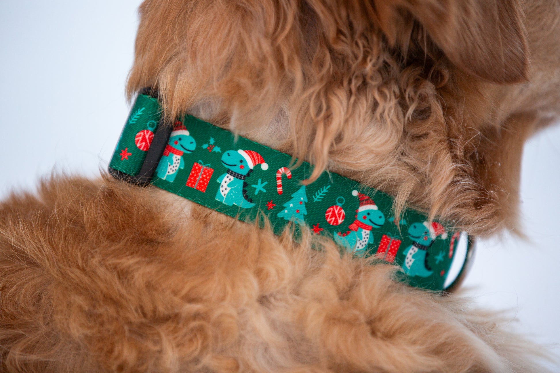 Festive Christmas Dino Dog Collar Leash Set Durable Holiday