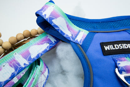 Dog Harness Collar & Leash Set – Aurora Polar Bear