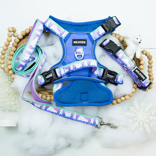 Aurora Polar Bear Click N' Go Harness Bundle