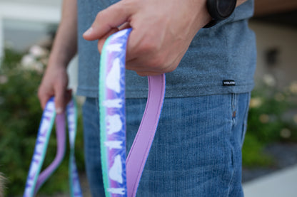 Dog Harness Collar & Leash Set – Aurora Polar Bear