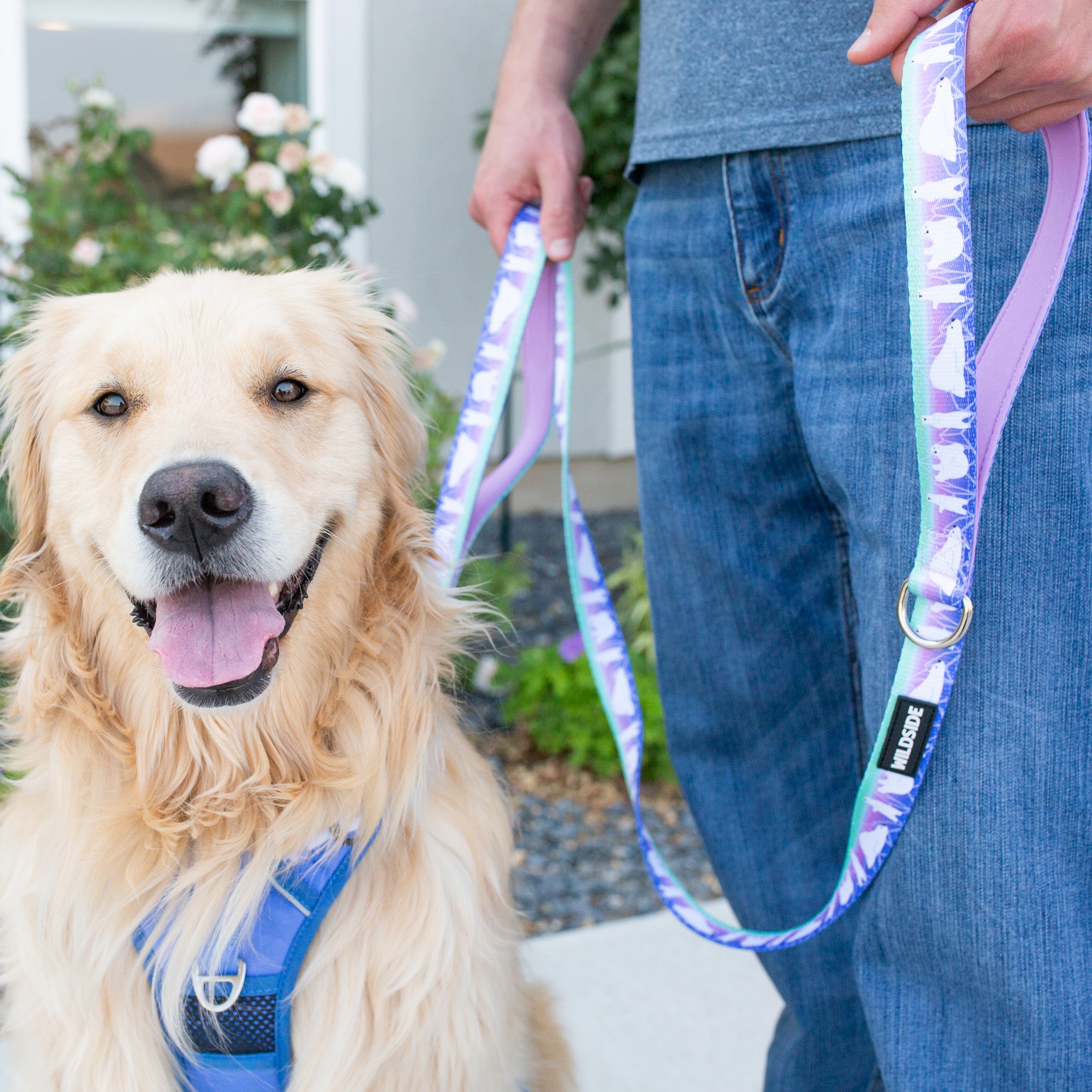 Aurora Polar Bear Click N' Go Harness Bundle