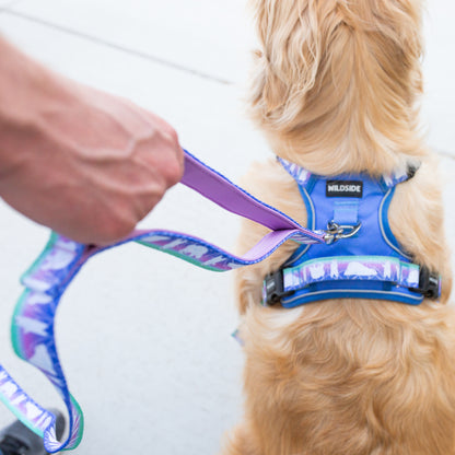 Dog Harness Collar & Leash Set – Aurora Polar Bear