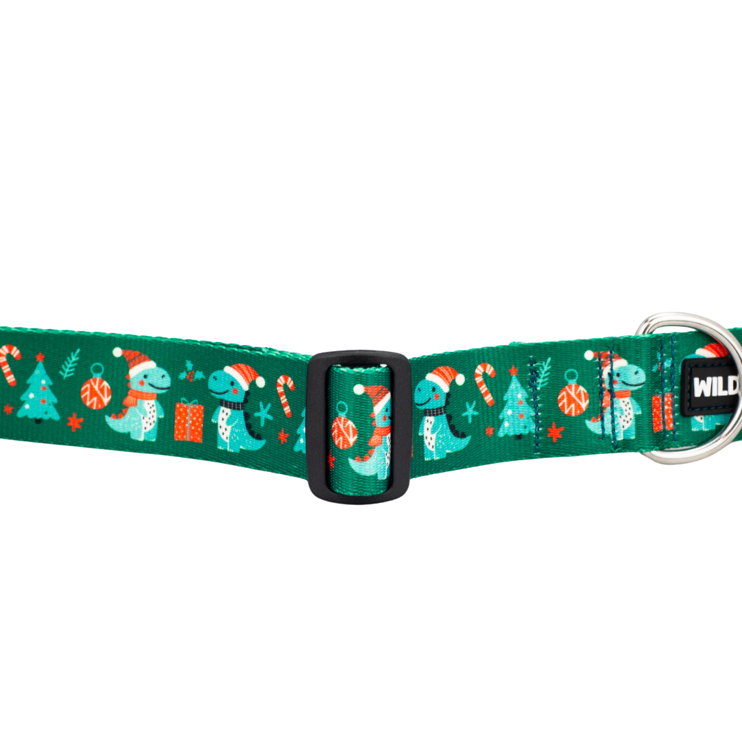 Christmas Dino Holiday Rust Proof Dog Collar