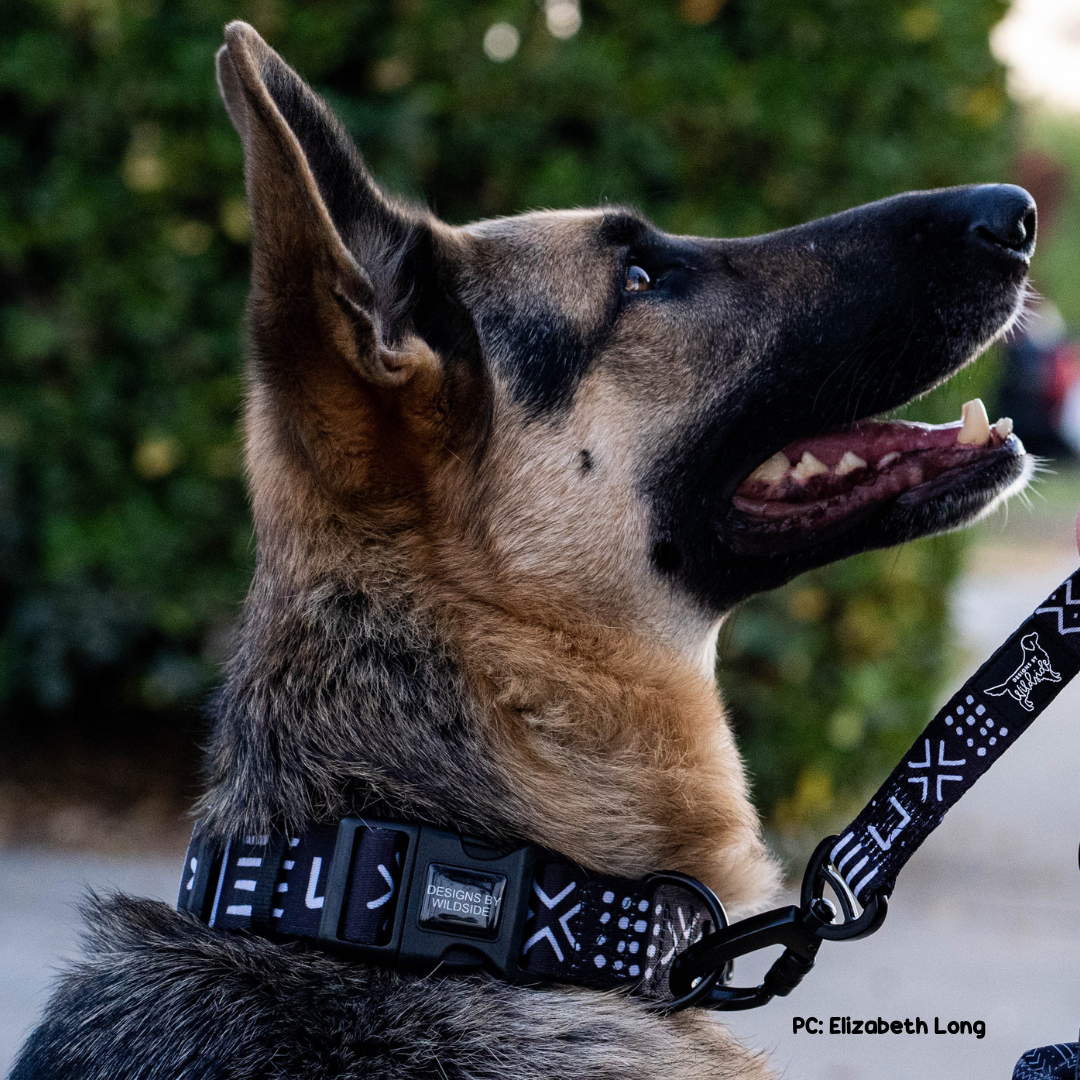 Luna Boho Comfort Dog Collar