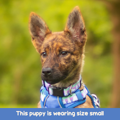 dog collar nylon dog collar pattern dog collar cute dog collar pink dog collar tag holder, dog collar harness set, dog collar harness leash set, polar bear dog harness, front clip dog harness, puppy harness with handle