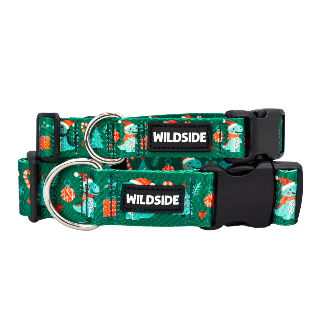 Christmas Dino Holiday Rust Proof Dog Collar