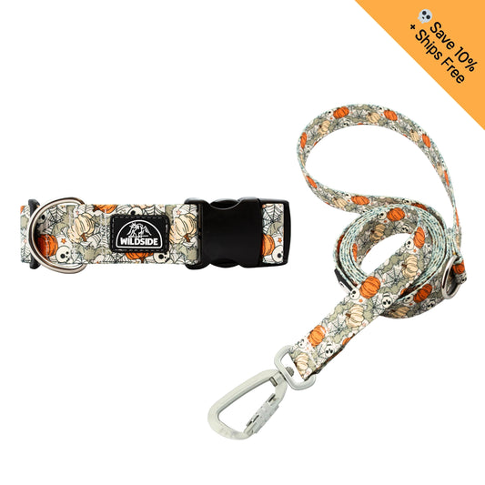 Creepin' It Real Dog Collar + Leash Set — Adventure-Proof