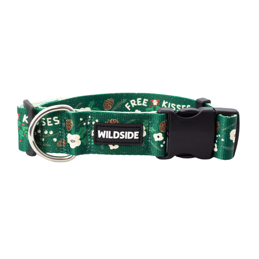 Under The Mistletoe Rust Proof Dog Collar (Evergreen)