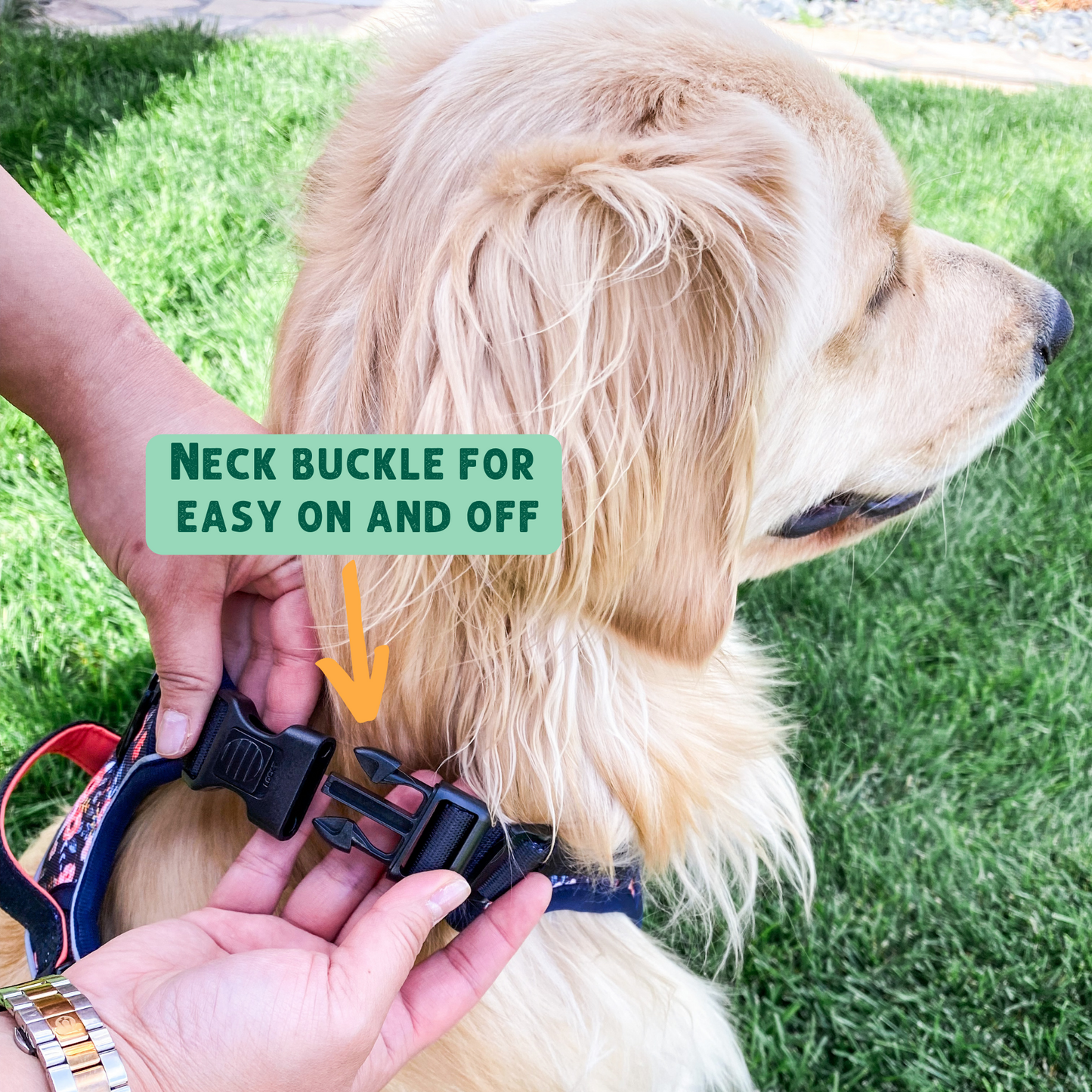 Summit - Easy Click N Go Dog Harness with Handle