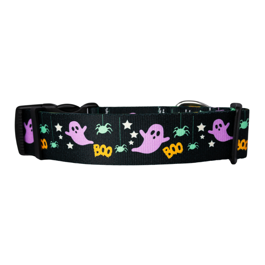 Ghost-themed spooky dog collar with stars and spiders