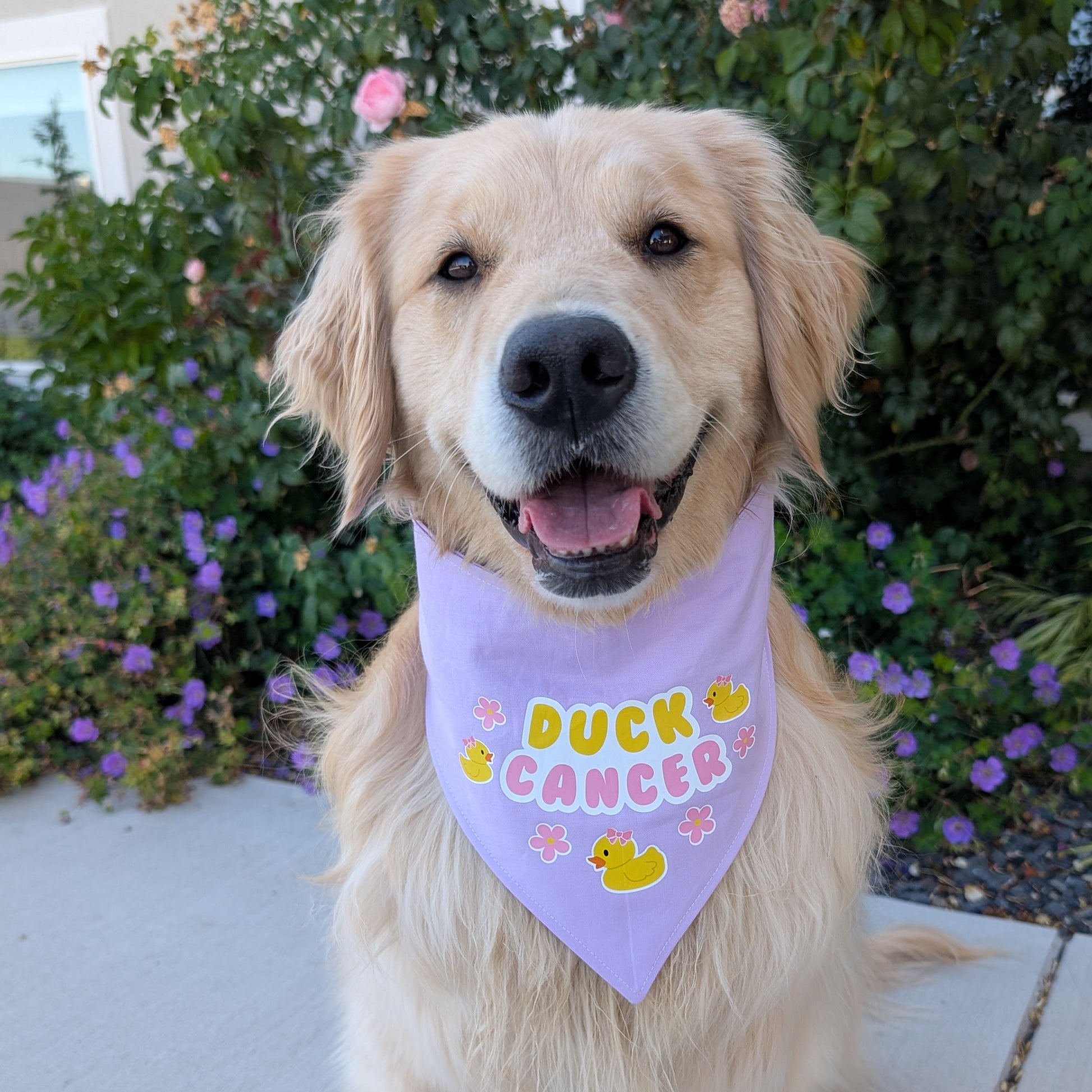 duck cancer bandana, hemangiosarcoma ,  fight cancer bandana, cancer awareness bandana