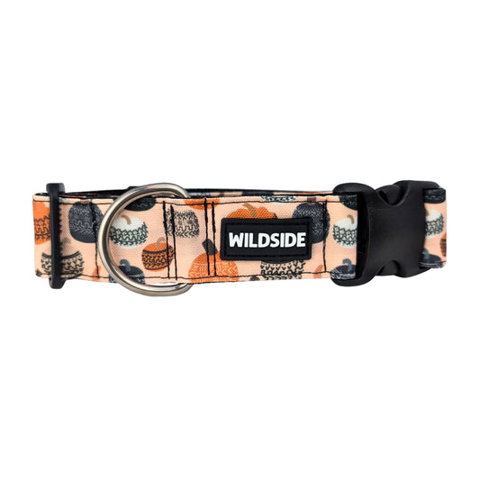 Boho Pumpkin Rust Proof Dog Collar