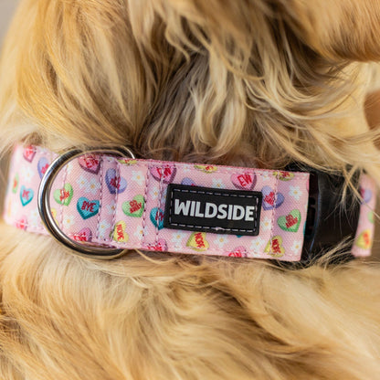 Anti Valentine Candy Hearts Durable Dog Collar