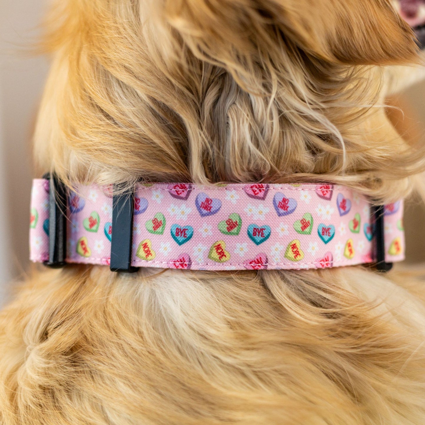 Anti Valentine Candy Hearts Durable Dog Collar