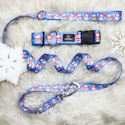 Cutesy Dog Collar and leash set