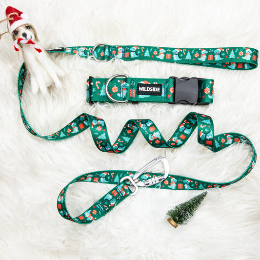 Dino Christmas Dog Collar and leash set