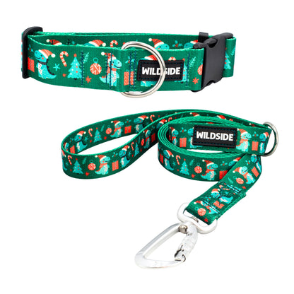 Dino Christmas Dog Collar and leash set