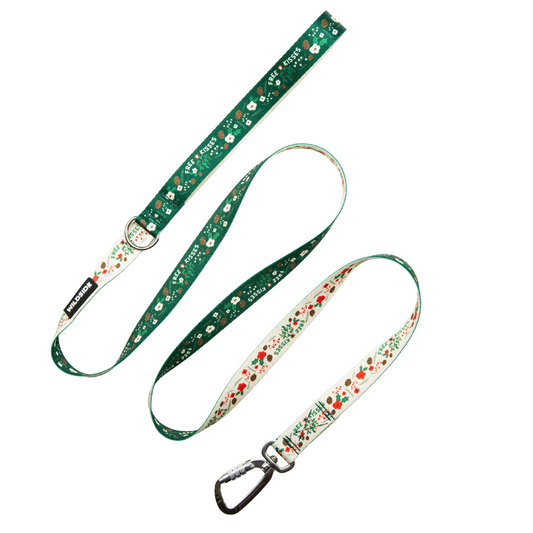 Under The Mistletoe Leash