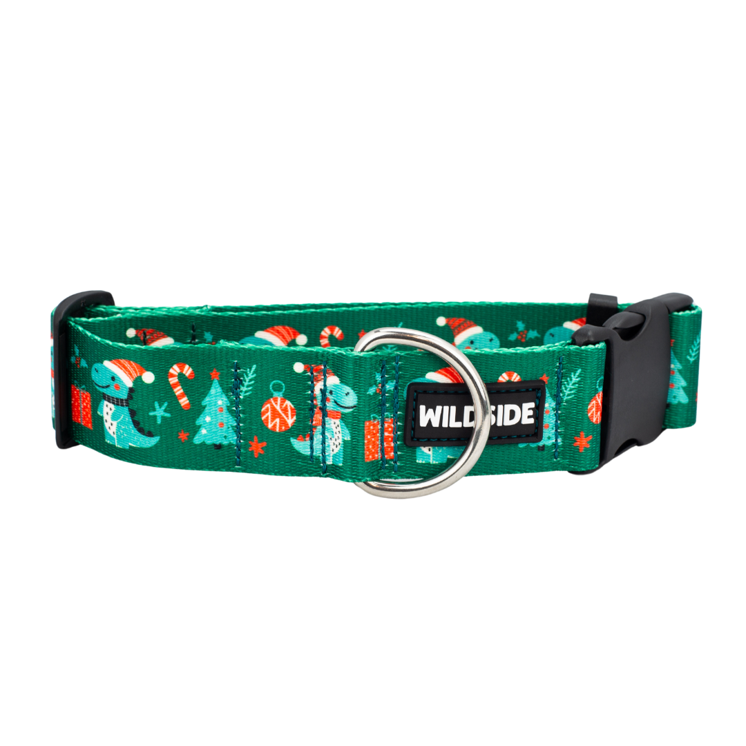 Christmas Dino Holiday Rust Proof Dog Collar